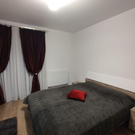 Appartamento Casa Ioana Târgu-Mureş Esterno foto