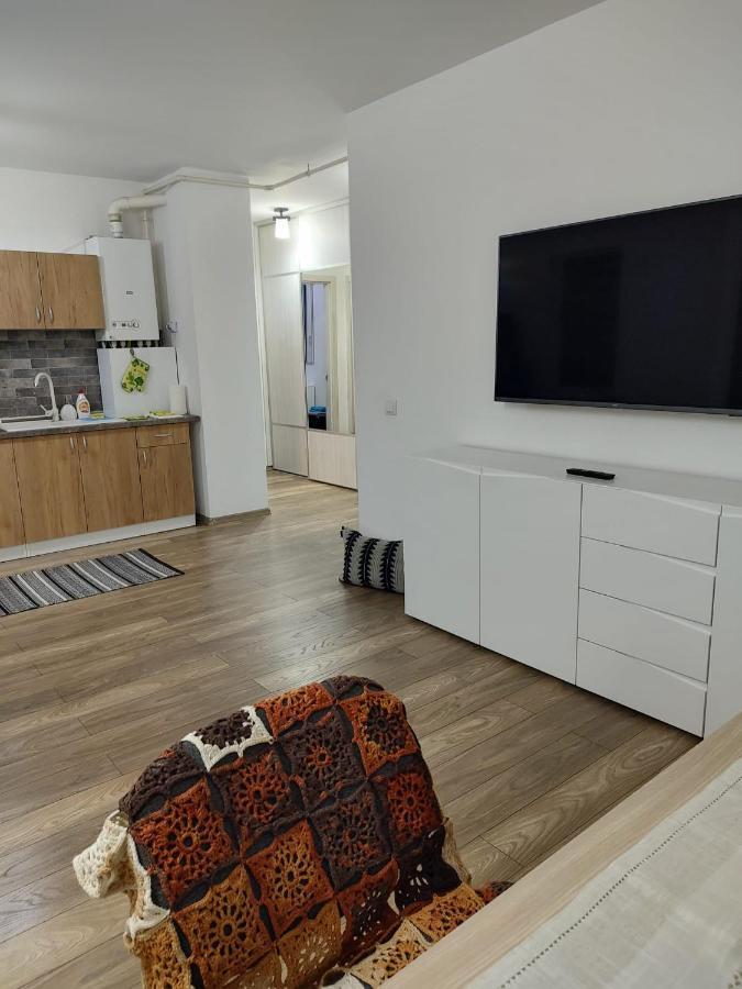 Appartamento Casa Ioana Târgu-Mureş Esterno foto