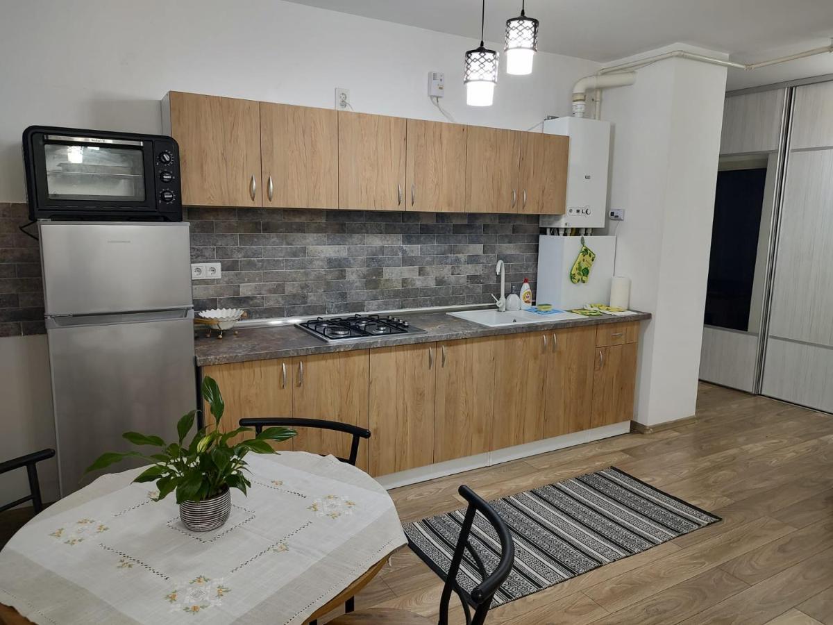 Appartamento Casa Ioana Târgu-Mureş Esterno foto