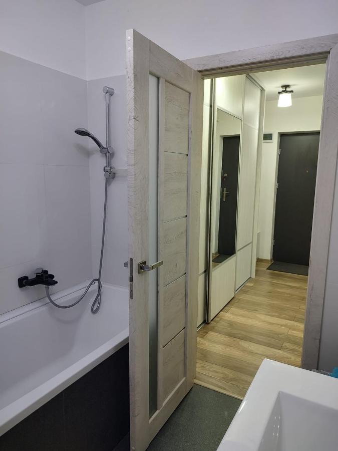 Appartamento Casa Ioana Târgu-Mureş Esterno foto