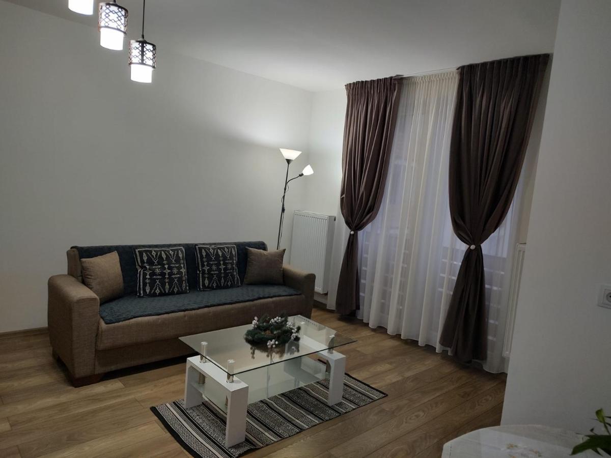 Appartamento Casa Ioana Târgu-Mureş Esterno foto