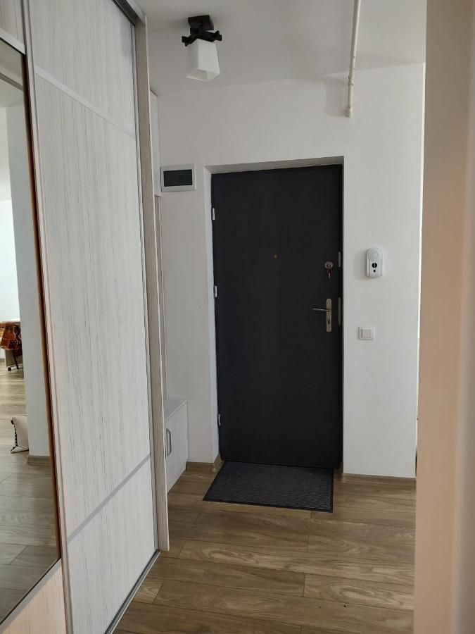 Appartamento Casa Ioana Târgu-Mureş Esterno foto