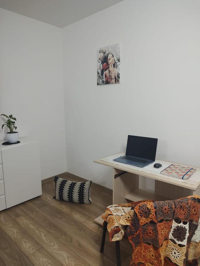 Appartamento Casa Ioana Târgu-Mureş Esterno foto
